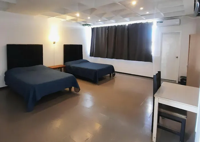 Hotel Allende 104